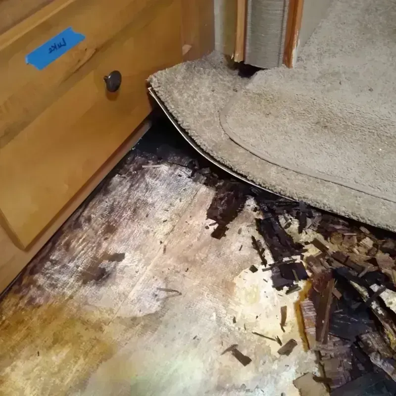 Wood Floor Water Damage in Ottawa County, OH